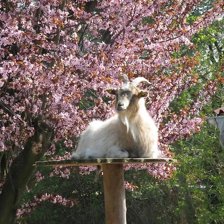 Danhostel Vollerup *