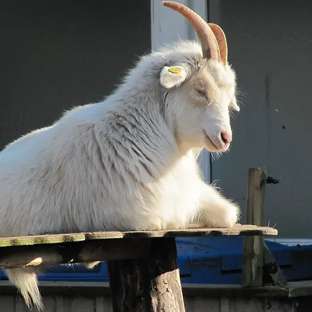 Danhostel Vollerup * Sønderborg