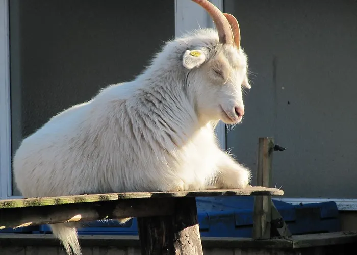 Danhostel Vollerup * Sønderborg